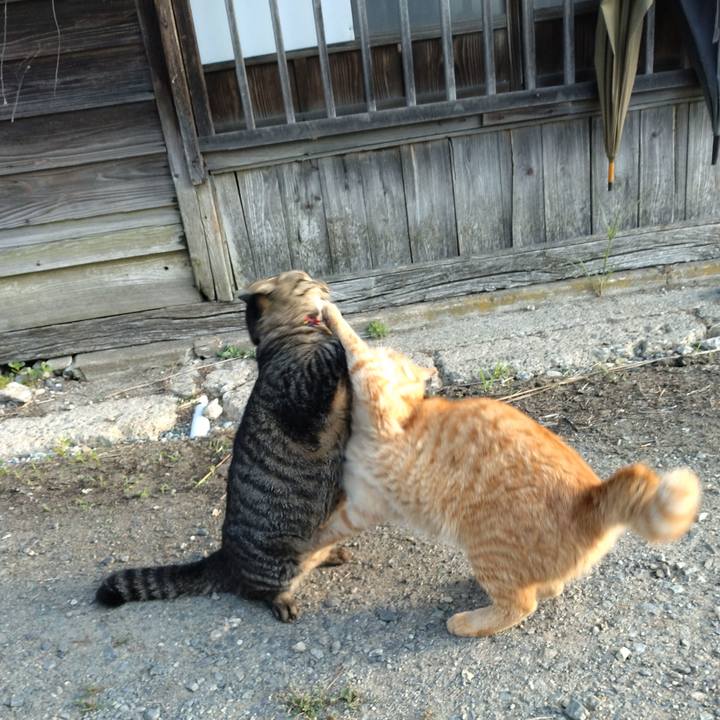 Ee5dad35 a3cb 48f4 b563 d8a32f3b8a9d 1692223795813