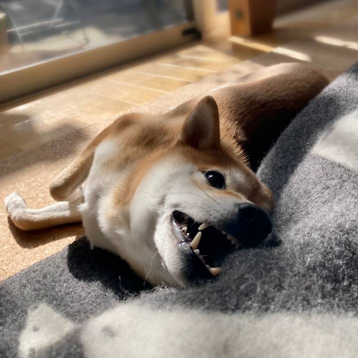 Ee5def2f a239 47f9 9e4a 82b50c9d7f92 1674704462460