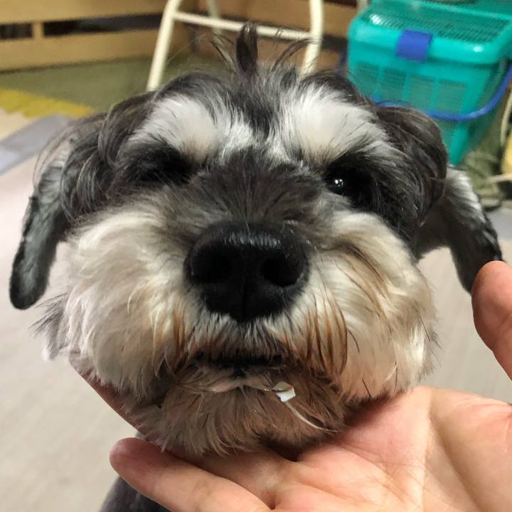 Ee5dfcaf bfb3 4c10 b591 e5737ea8d706 1631325137095