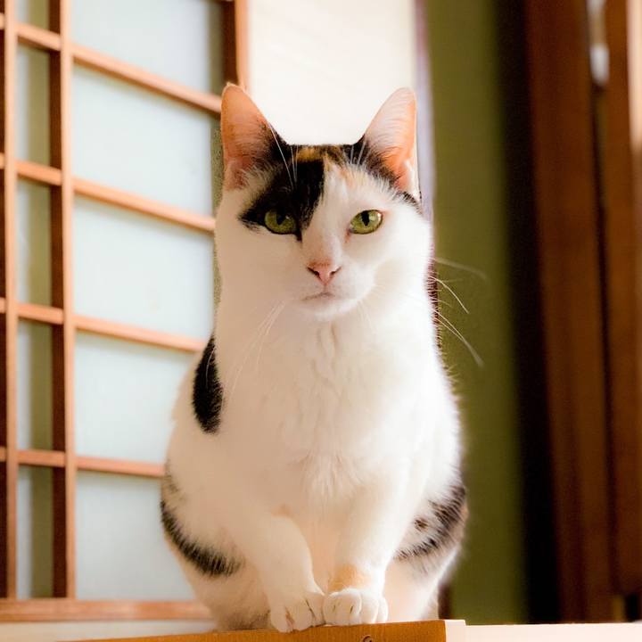 Ee5e3dab 9e12 41a0 a3b7 4e1fcc4c5fd0 1562808740100