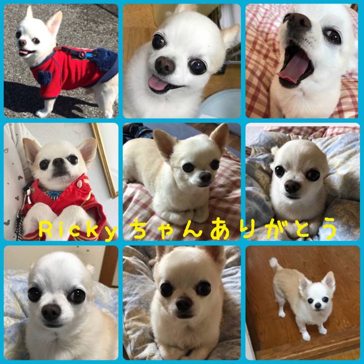 Ee5e6fee ebd0 4a5c bd43 27324ae84a4b 1542802648871