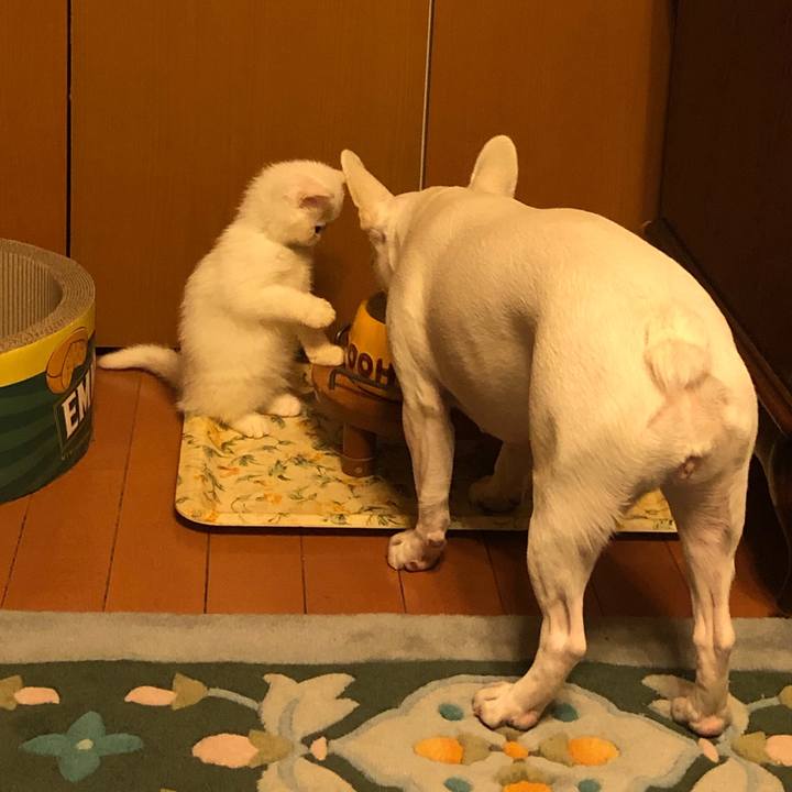 Ee5e8235 2780 455b 90ec 492b34bcefcf 1543755392621