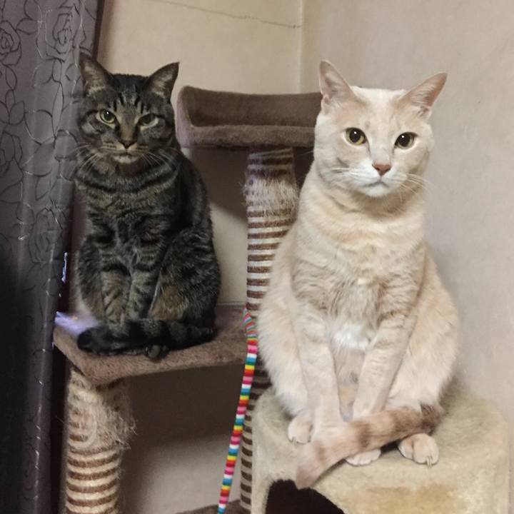 Ee5e86bd d87f 42aa a28d 7664938da7d8 1515972161079