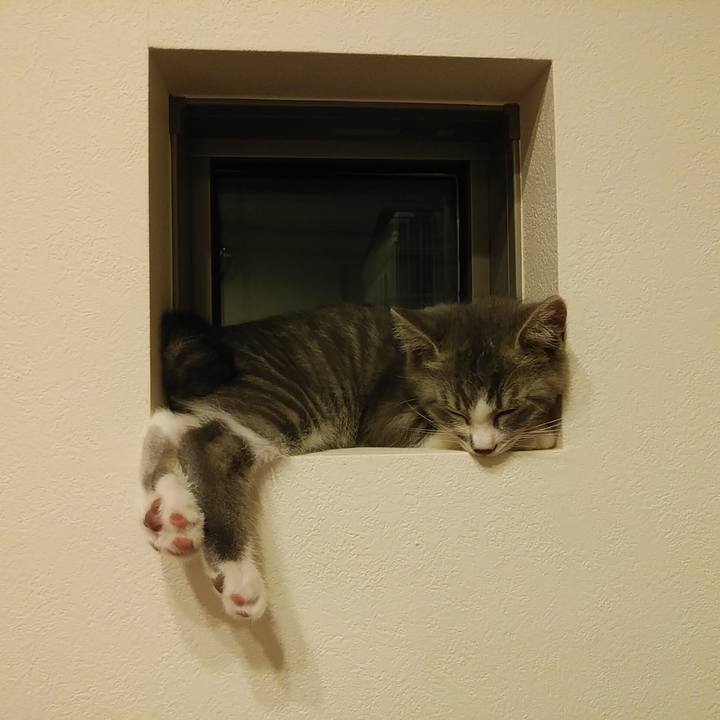 Ee5eae7c 68d6 4eda a608 13243acdad99 1562335753356