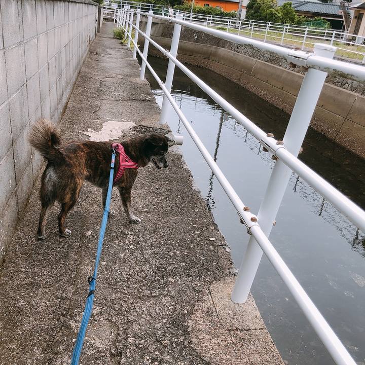 Ee5ecee6 dd24 4763 961b 9150b6fd8d18 1656925410590