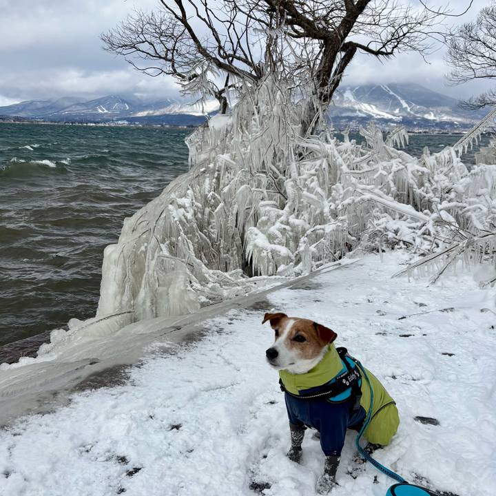 Ee5f0adb b172 41f8 ba5d b1919dd3467d 1769334062022