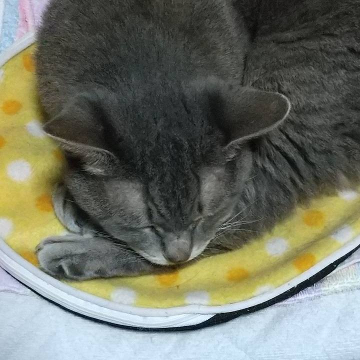 Ee5f6ef9 ca0a 42c3 b7aa 9ce6c75cf9a8 1665054313833