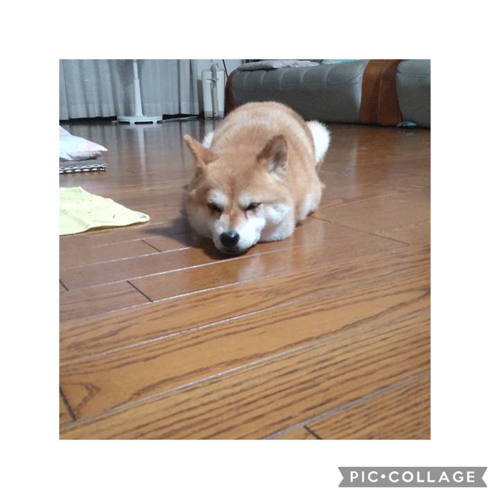 Ee5f706b c083 40d0 bf20 5bcea0f84649 1751024656694