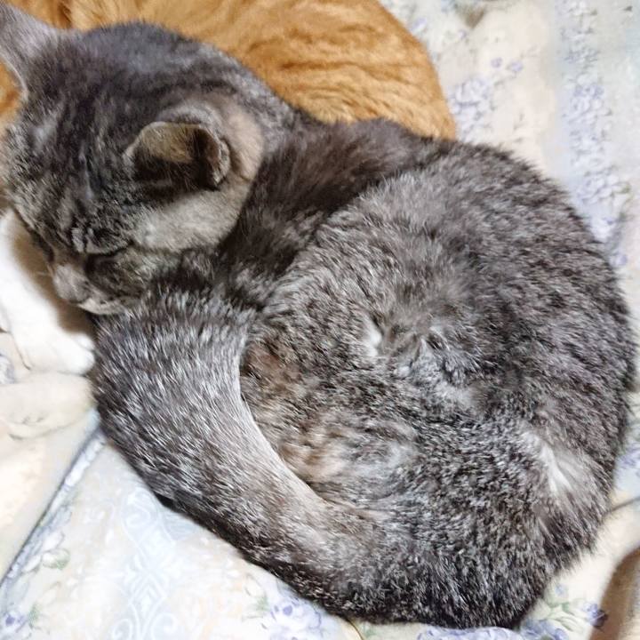 Ee5f9f24 b25e 4212 9baf b5418eb0fd86 1579694335951