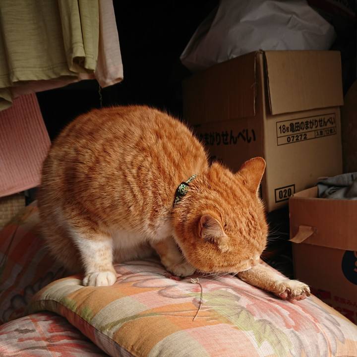 Ee5f9f5b cd0c 475b 80d2 68ce58490c28 1580609060121