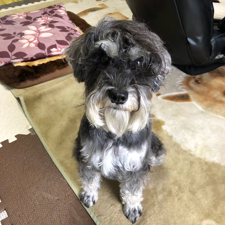 Ee5fa2ea e724 44e3 8529 1fc5de225a8b 1529293000494