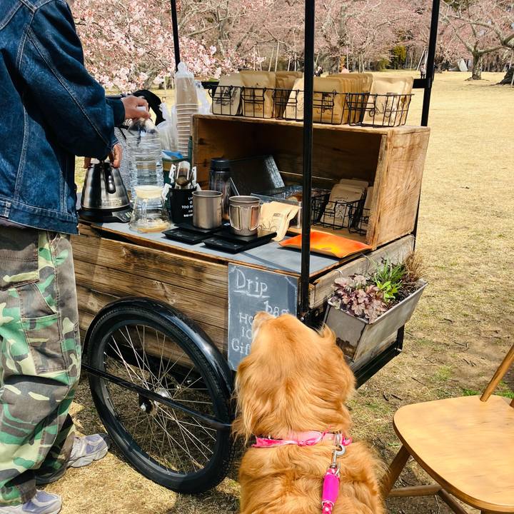 Ee5fca67 7a62 4088 8676 44ad744b2930 1744131208540