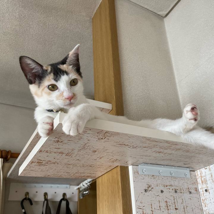 Ee5fdc59 7e84 4c5d bd15 004626e74bec 1662770318924