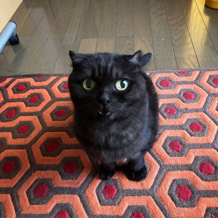 Ee5fe68b 85e8 4e9d 80e0 115ff370706a 1602993250709