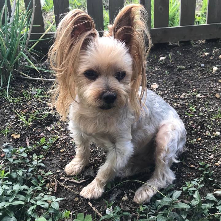 Ee5ff119 3333 4e8b b90b c47c6983b292 1569837245901