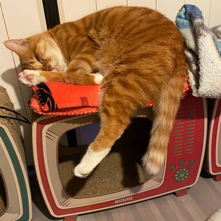 Ee5ffa53 1f42 49d2 9370 0f6bec14c0ae 1636822808890