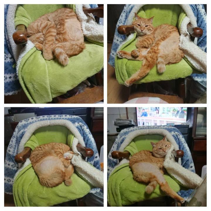 Ee5ffe35 23db 48d9 8589 527d044f548a 1655423377006