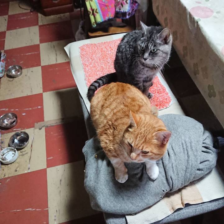 Ee6011b3 2fa4 49e7 ae76 1a425e06a53f 1578008250112