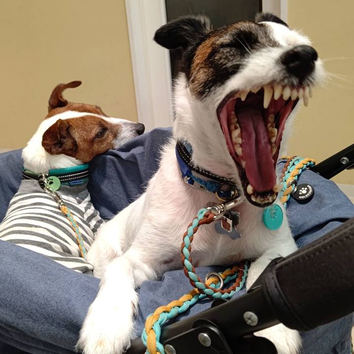 Ee605288 87cb 440b b8e9 5ac098419d4f 1688906964704