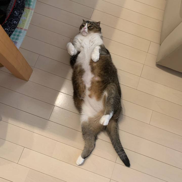 Ee6054ca 3a5f 490c ac83 8139df82329f 1611013924482