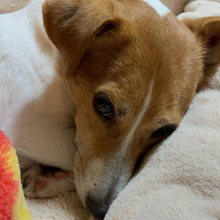 Ee60b6be c9f7 494c af31 efab59b17abe 1606308517997