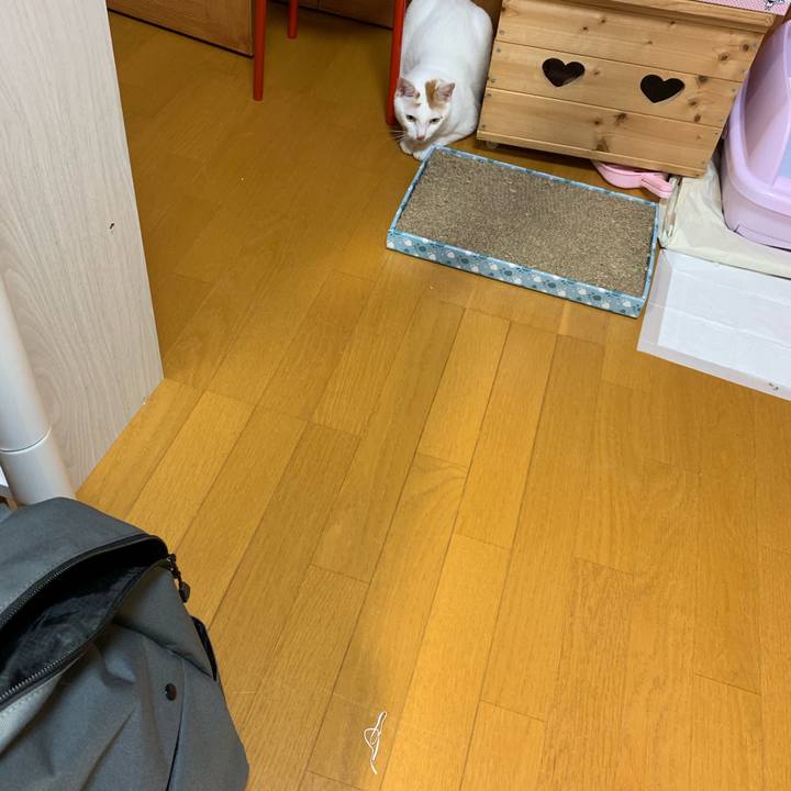 Ee60bfe0 64ee 4256 b014 f477f4af7ea9 1569682084280