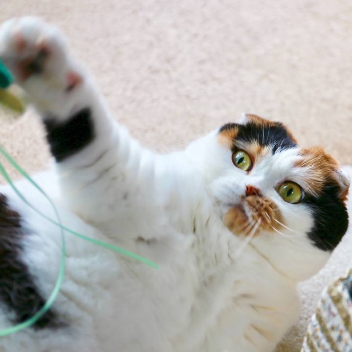 Ee60dc7e 4585 4874 b28a 863855775b1c 1566089664181