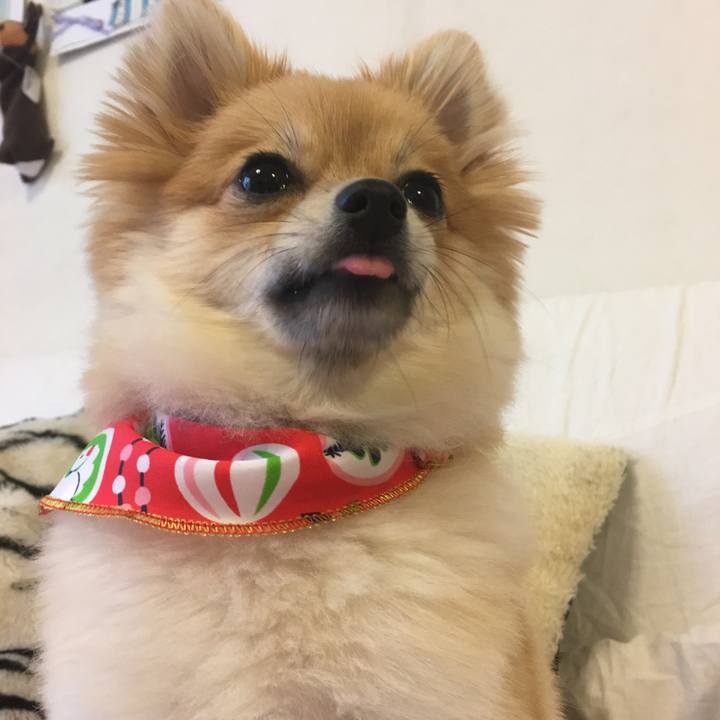 Ee60deb9 357c 4b06 a14a 92b9094855ab 1514688570369