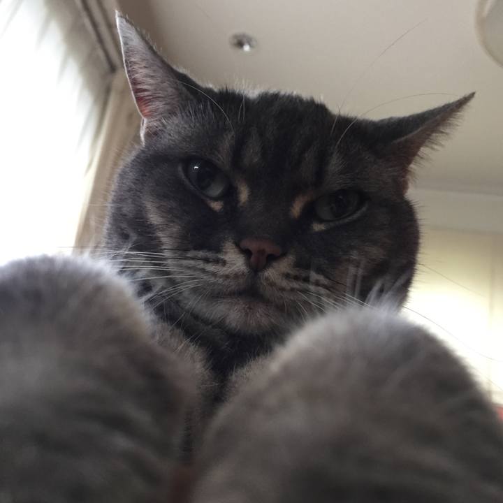 Ee60e913 f879 4c5e 8b39 9a11ccc64e59 1530104966362