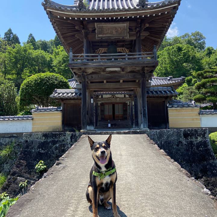 Ee60e9f1 ebd2 4bcb 9480 e8bbe7a90f5b 1621767680306