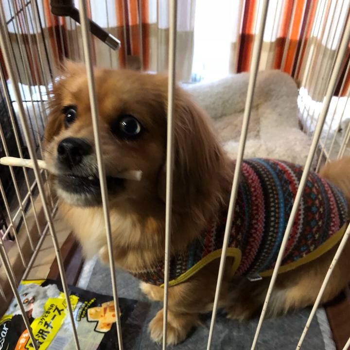 Ee61155c 5e48 45e6 8952 8d2719a82ae5 1515794769711