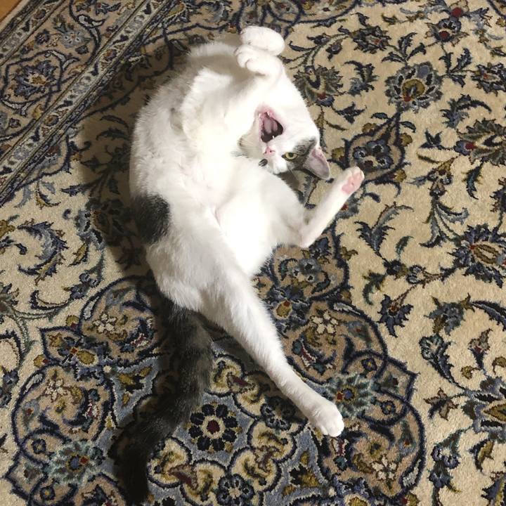 Ee611d51 f3bb 4bd0 8fb3 95b579385868 1626014262883