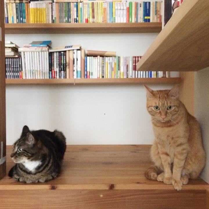 Ee611db6 b534 4c70 ad91 644d64af0029 1535501851238