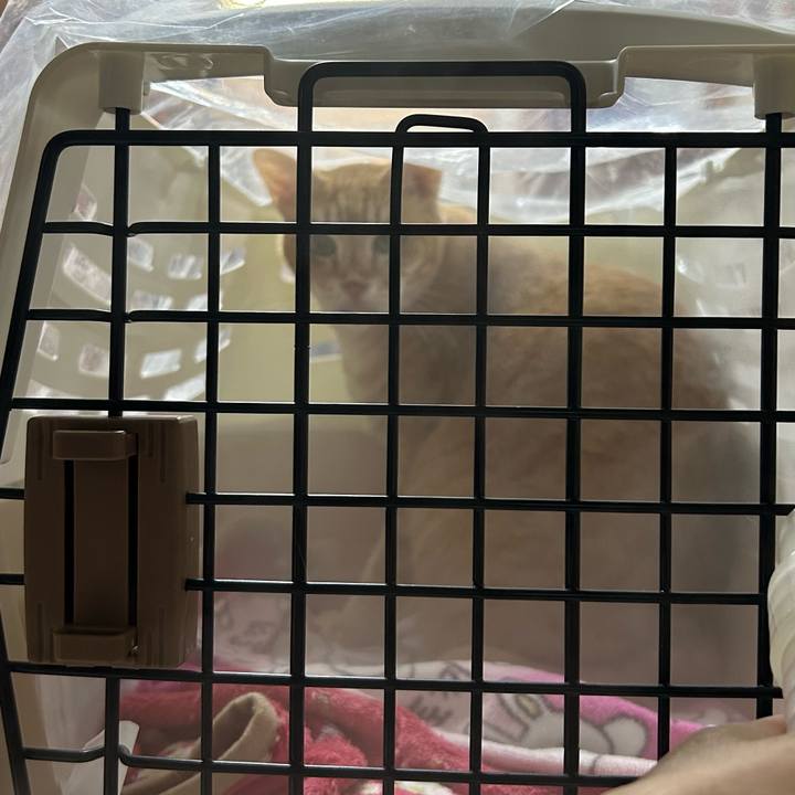 Ee613969 65f1 4df3 8f42 629dbfe2dbeb 1676886863185