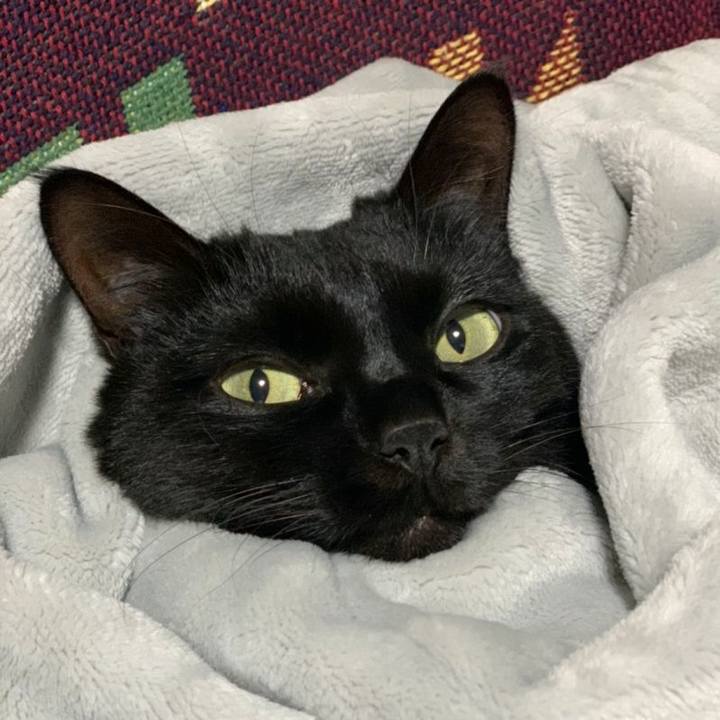 Ee6160b8 c9ea 4a46 bb5d 534281f0b838 1580562247957