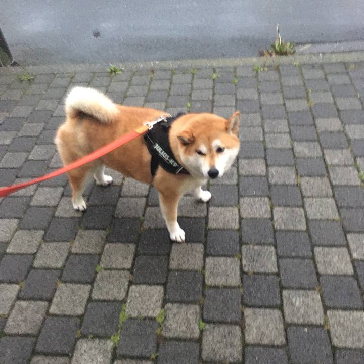 Ee6170b6 5069 40e0 b756 ca246e6be6a1 1592821864657