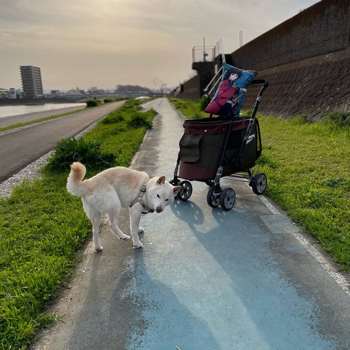 Ee618569 397d 46ac 977d fbe3a90a8076 1648464984949