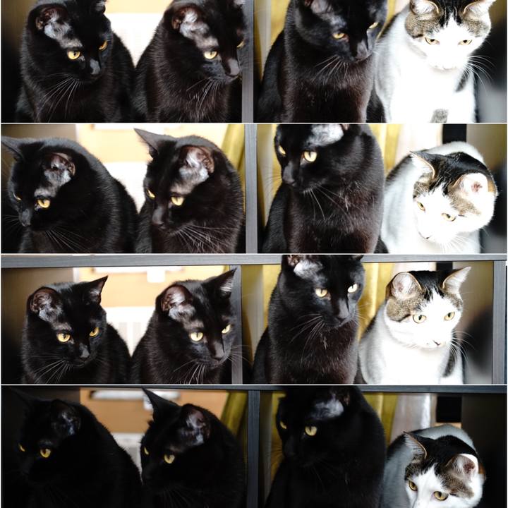 Ee619b8d 1c0c 4d57 9394 bcf1831d456b 1554974855237