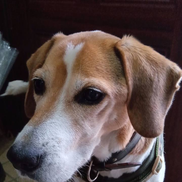 Ee61c4a9 ca97 4270 ac26 f83403049e34 1734839370430