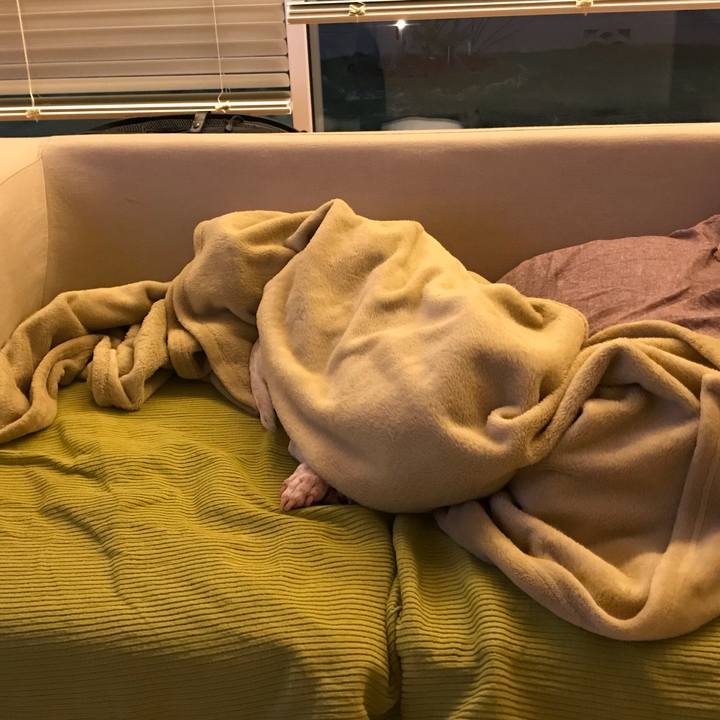 Ee61ceb3 2eb9 47eb 8686 7cb6301fe15c 1570351804969