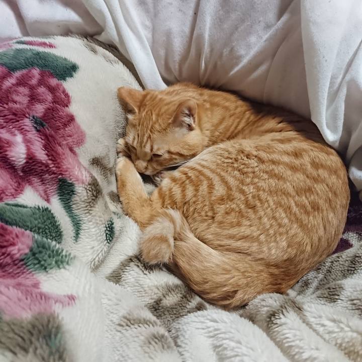 Ee62001e 2caa 4c1b 8989 8bfd0e37b7aa 1645877853092