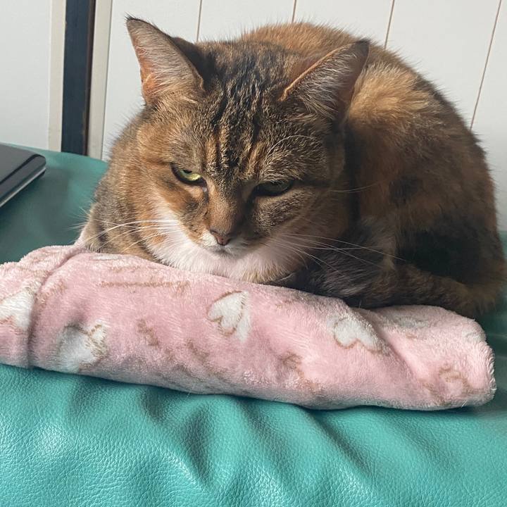 Ee622e56 3457 4415 8636 12349b3548e7 1588584025808