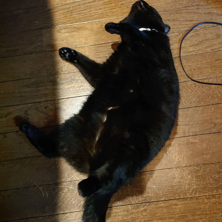 Ee6238fc 37c3 46c3 922a 0e01534c8d3e 1564544838576