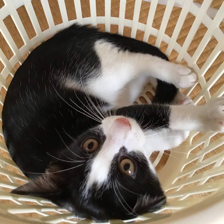 Ee6249f4 52e6 4ec8 bb54 7c97b02bfb24 1627533889269