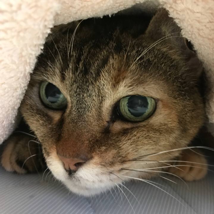 Ee626bf7 0a38 4d0a b473 c2c2b4eaa98e 1538269250326