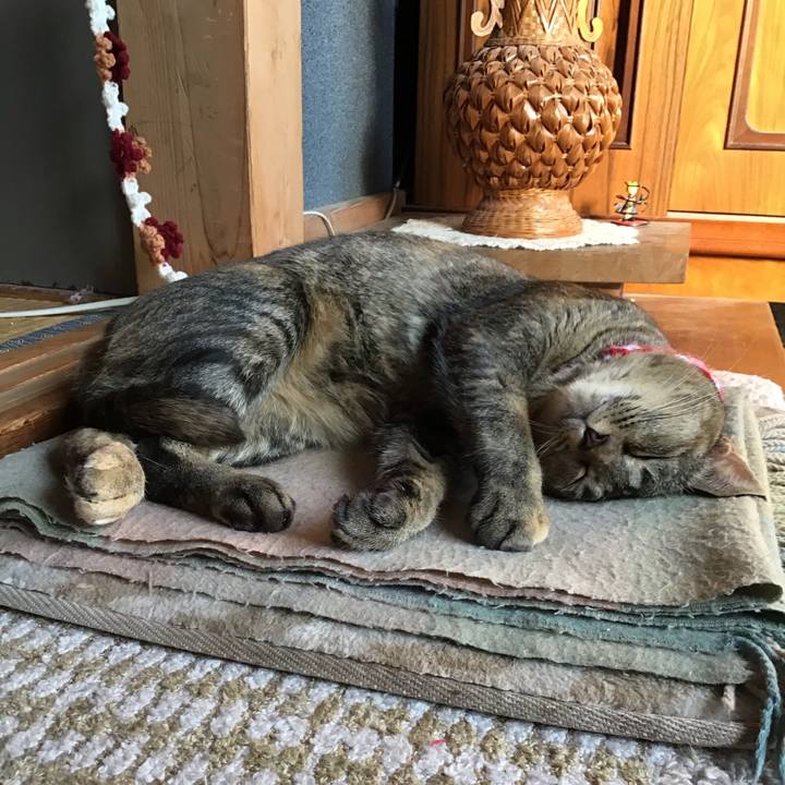 Ee6271f5 88e9 400d 89ff 4c3435bbcf8a 1604387661681