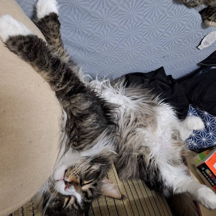 Ee628552 64e4 446b b13f 1d795707717f 1749865166838