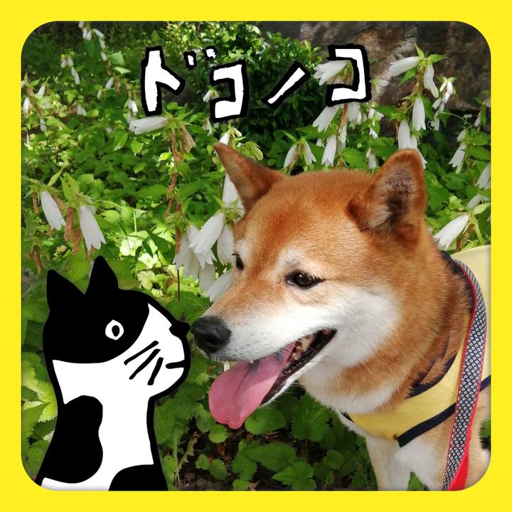 Ee6295aa 0d07 41fc aa93 3df35eb6f956 1623200589893