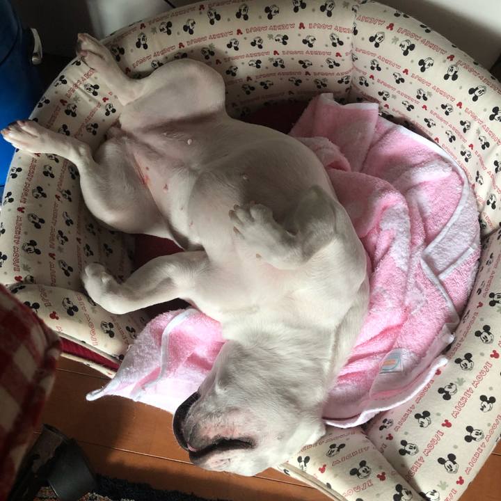 Ee62b6d2 2dbd 475d b9ac b01d78aca8ca 1594039314249