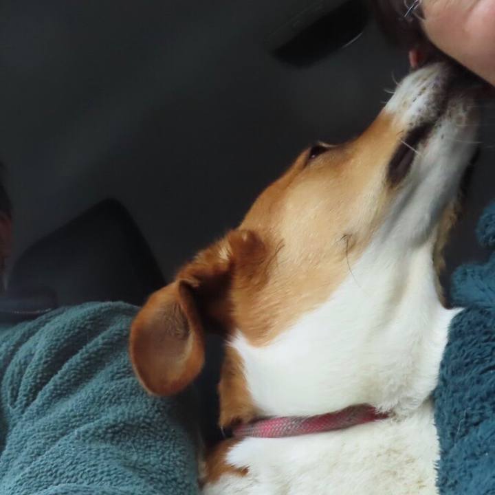 Ee62dd97 7833 4bc8 90f9 d013e748edf8 1642288923808